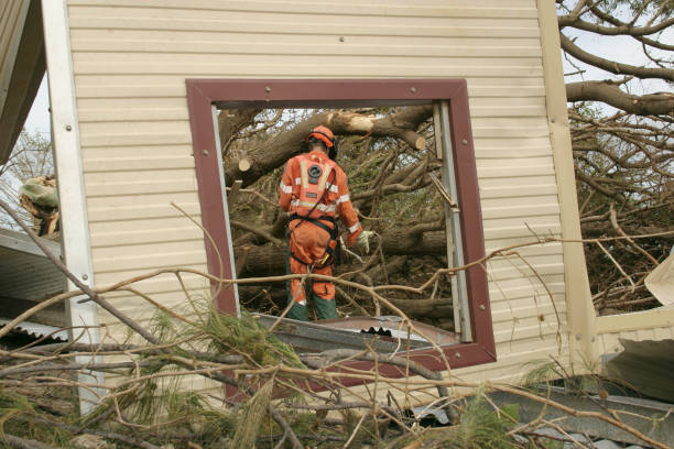 Yorktown Heights, NY Tree Care Services Company